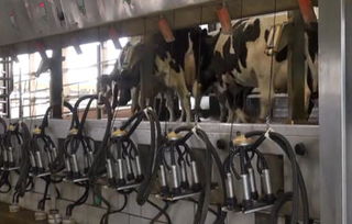 【cip清洗系統fcs10au食品廠全自動泡沫清洗機】- 