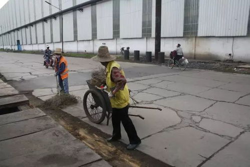 打頭陣 當(dāng)先鋒 勇?lián)?dāng)——綜合服務(wù)公司創(chuàng)建清潔工廠在行動